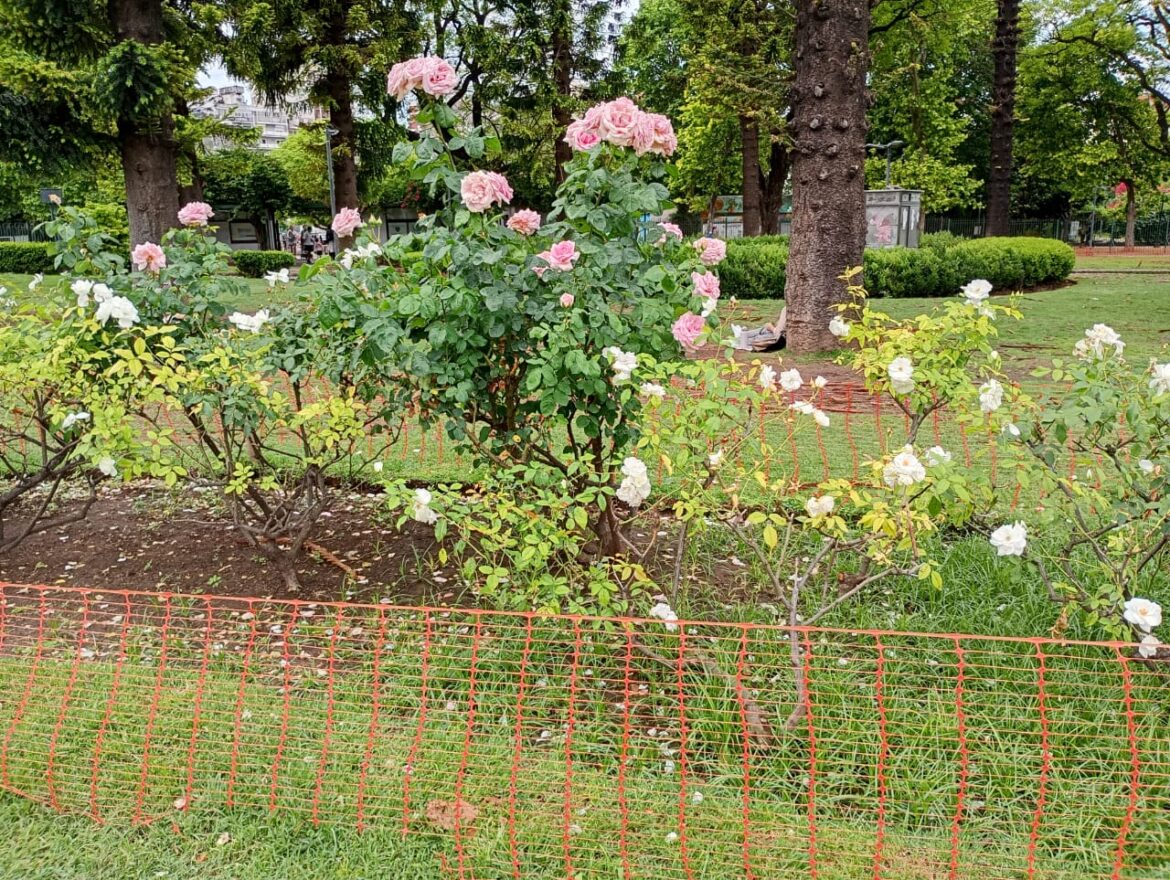 Tengo miedo que me quieras. Por Juan Botana