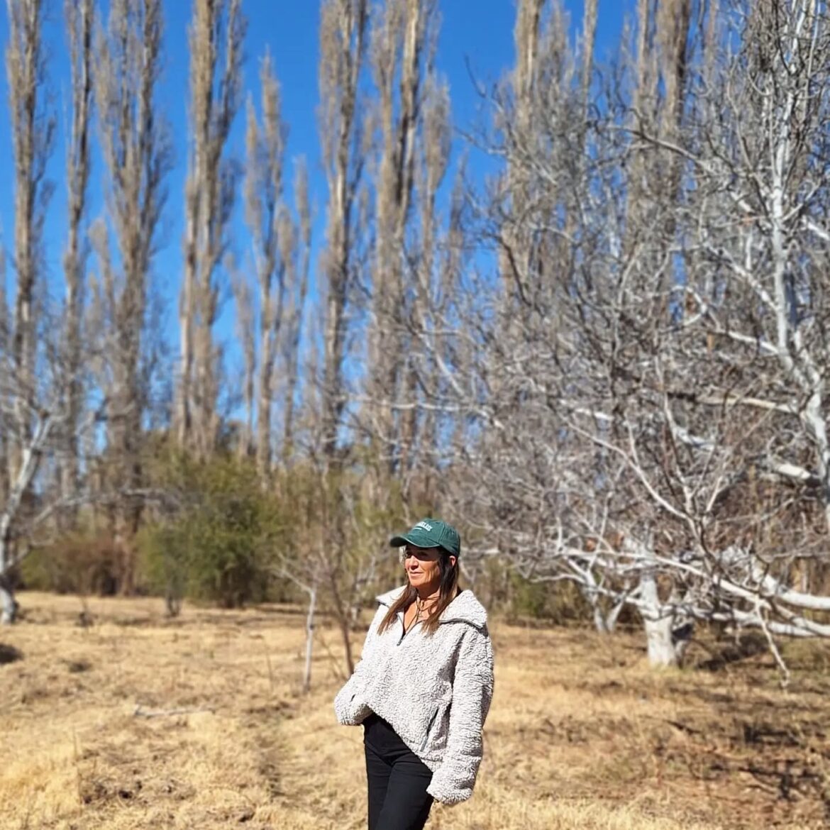 El sauce del río. Por María Isabel Termine