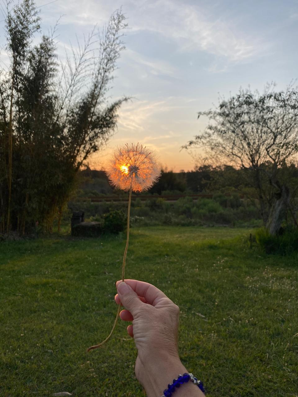 Domingos de sabores dulzones. Por Rita Frank