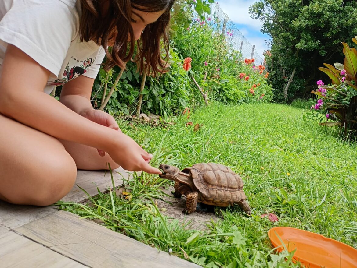 Male faltó. Por Malena Botana
