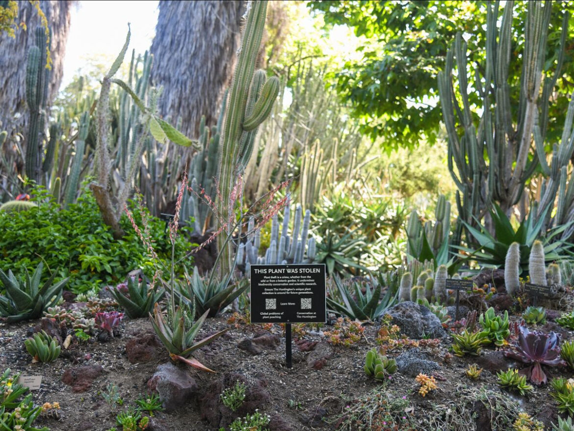 Teoría de la civilización verde. Por Luis Arévalo