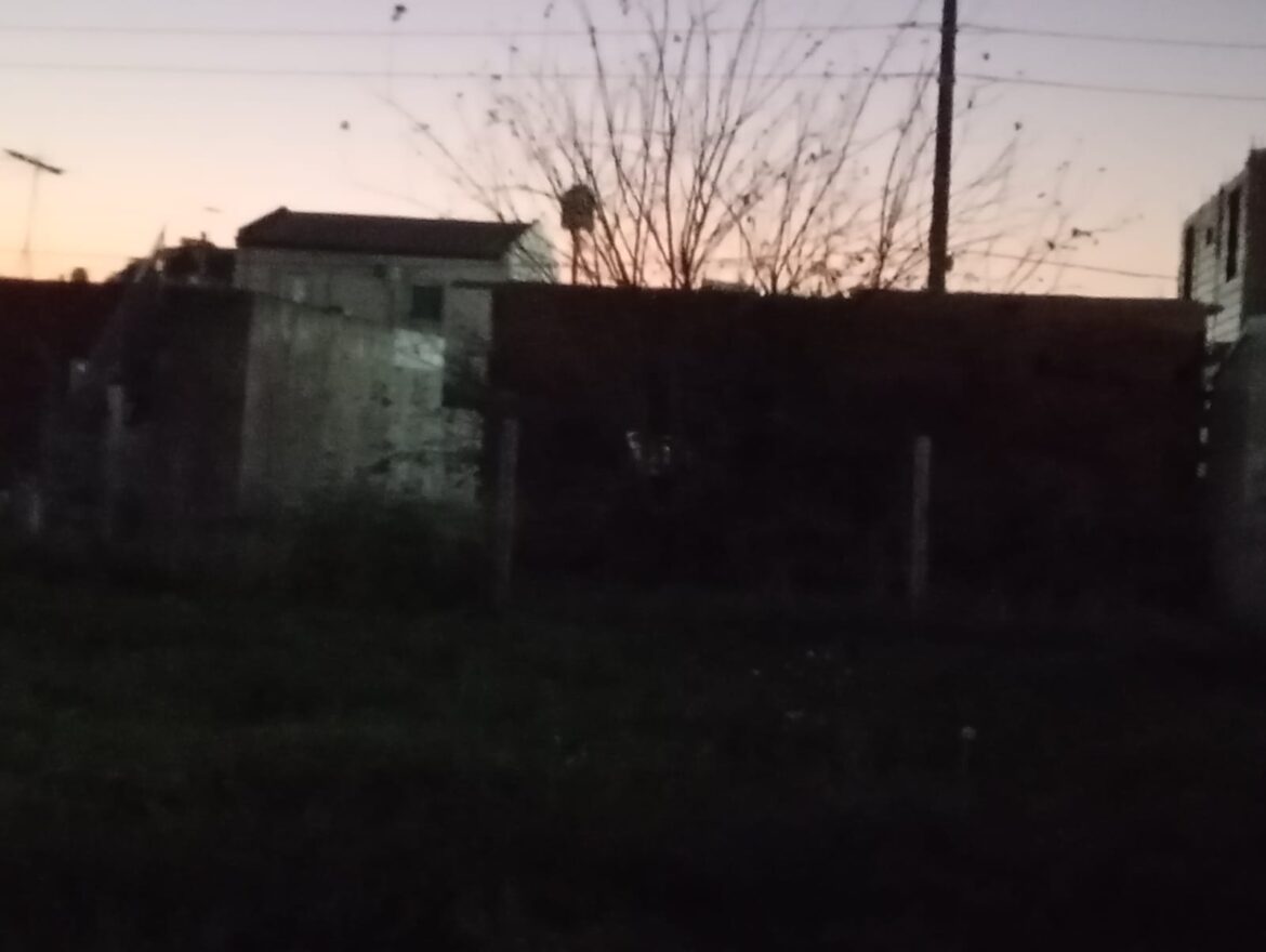 Campito. Por Melina Sánchez