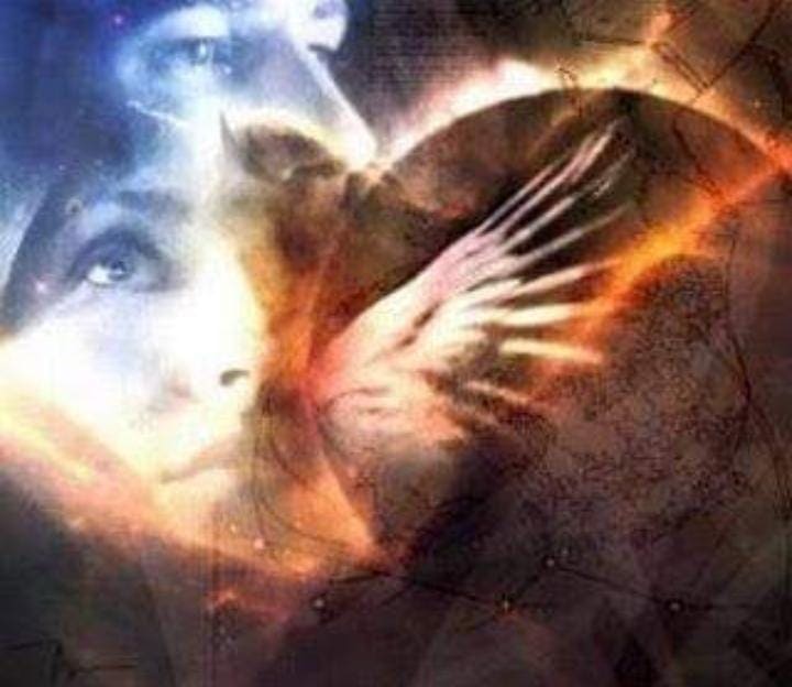 Vuela. Por Patricia Patt