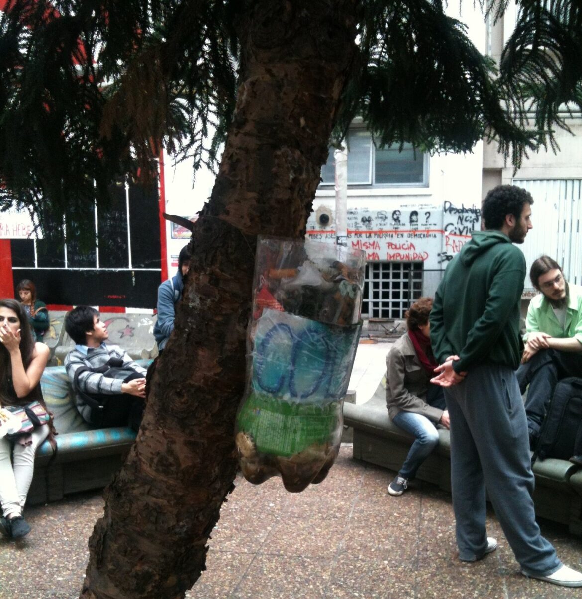 Poema al Pino 2. Por Melina Sánchez