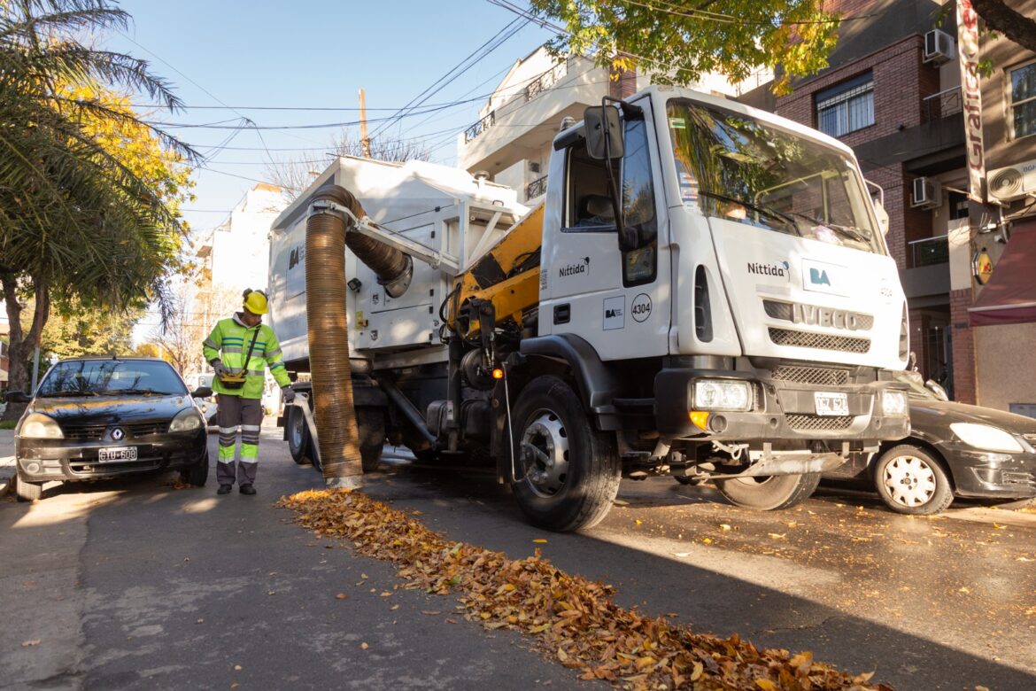 Barrido de hojas: una tarea compartida con vecinos para prevenir anegamientos