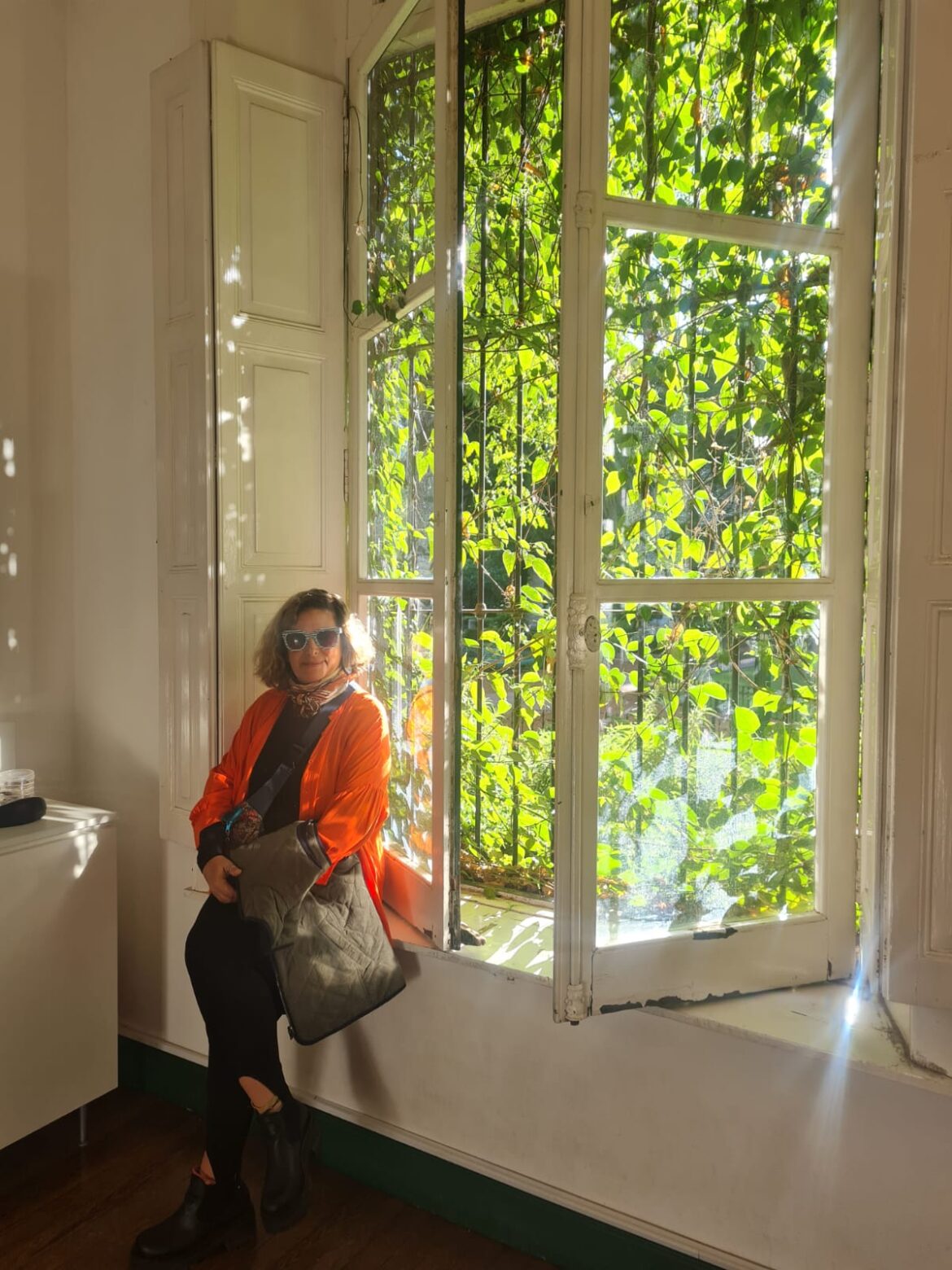 Ruidos. Por Jovita Dieguez