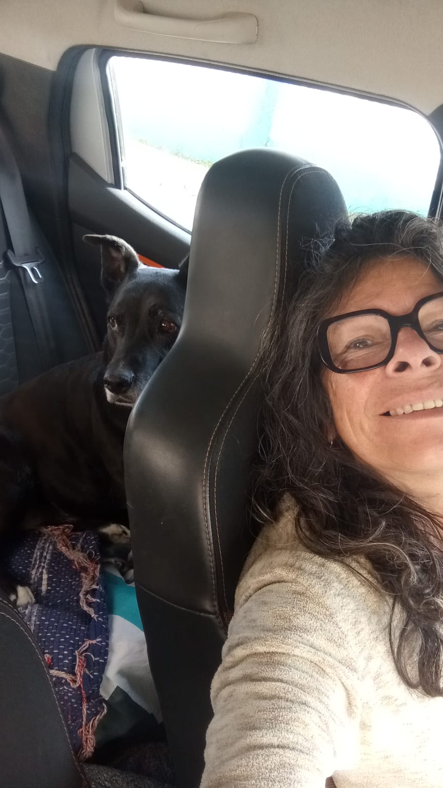 Vida. Por Rita Frank