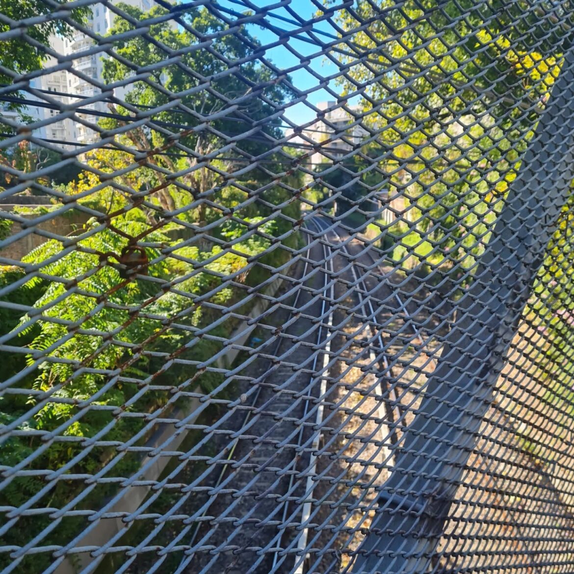 Un palabra. Por Jovita Dieguez