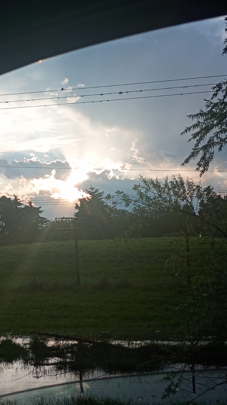 Amores truncos. Por Juan Botana