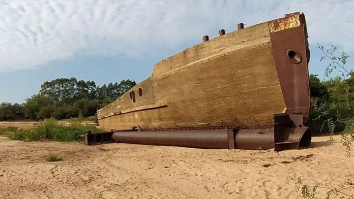 2020. Por Argelia Díaz