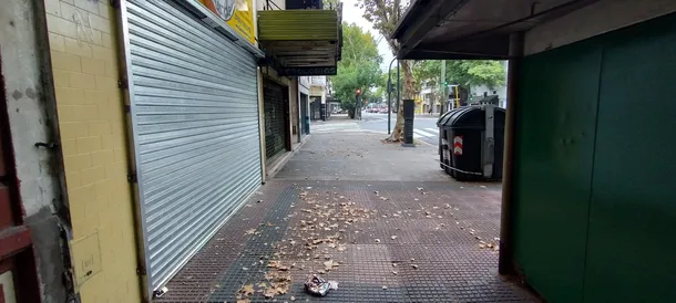 Carta abierta de María Cecilia Marsili al paro general