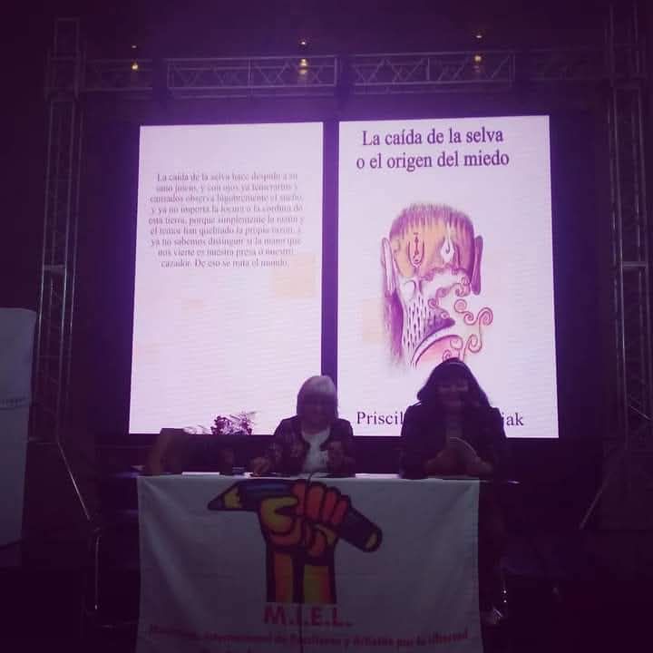 Por qué escribo. Por Priscila Bozjak