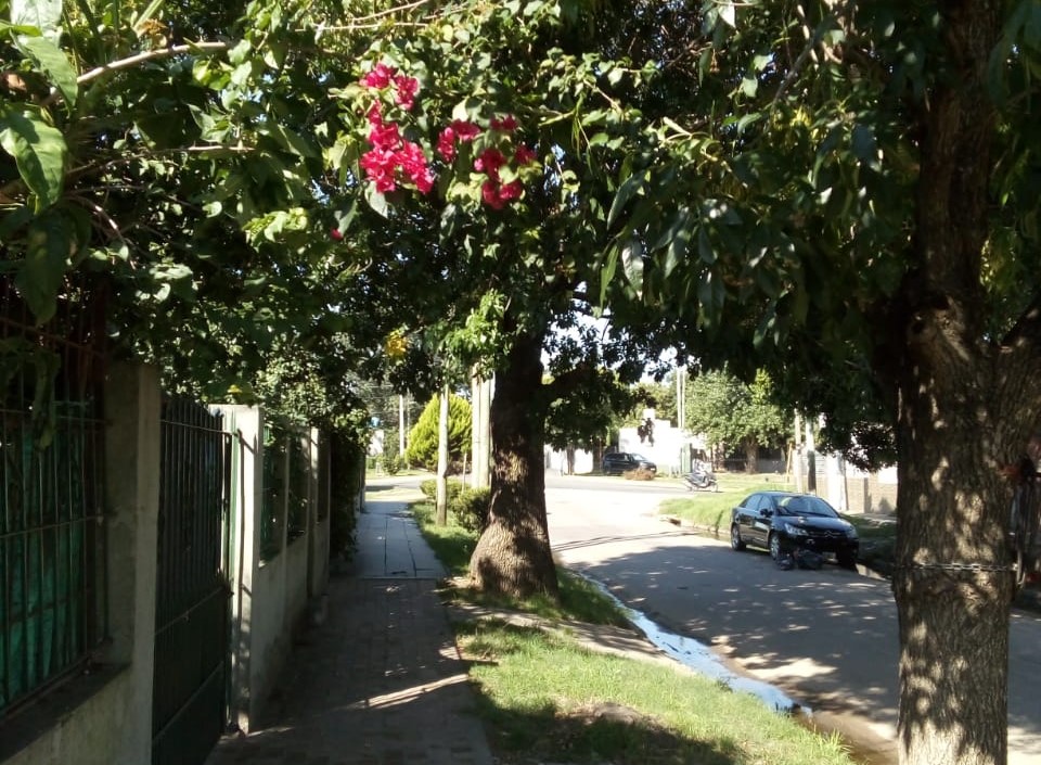 Las tres muertas de la calle República. Por Michi Love
