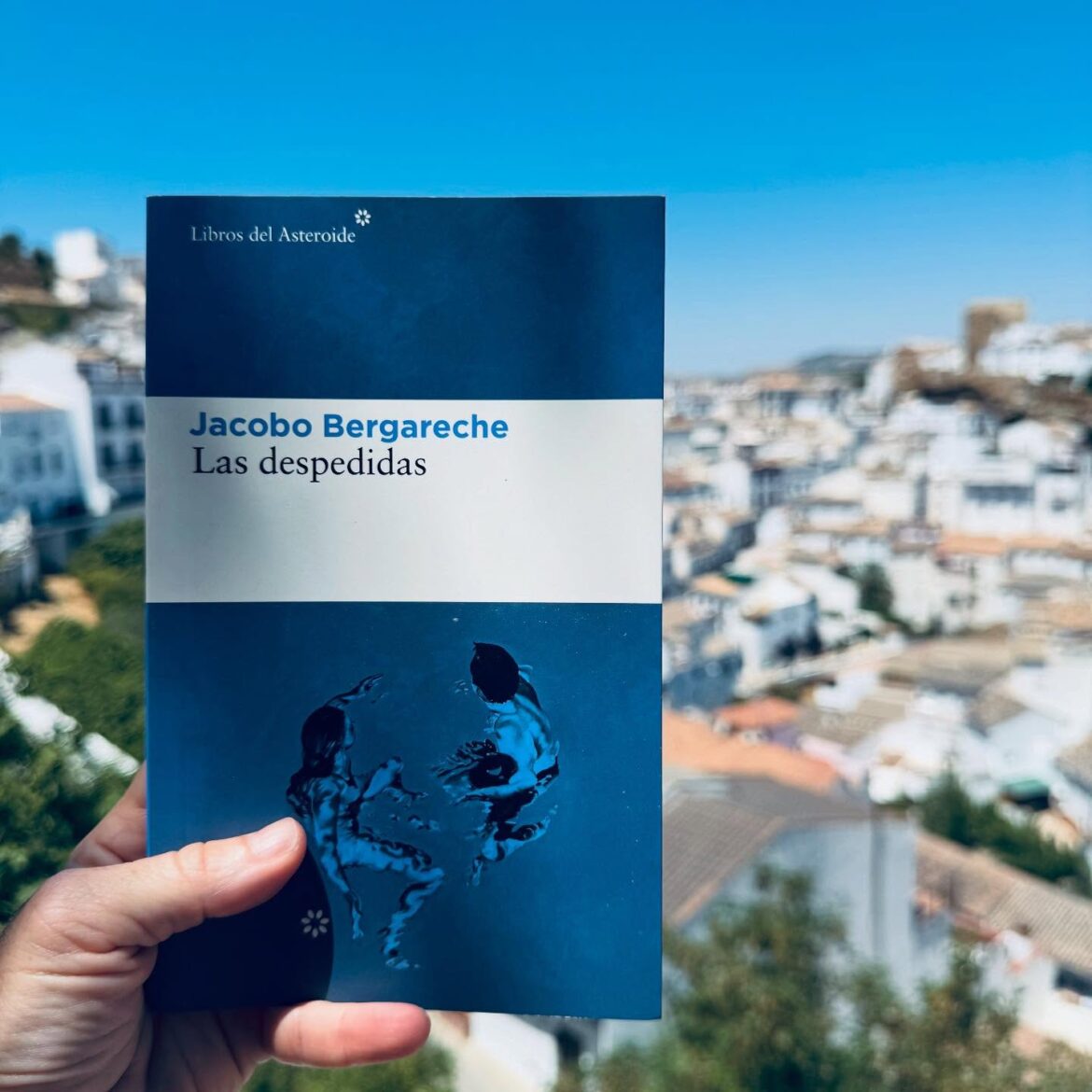 “Las despedidas” de Jacobo Bergareche. Por Nuria Gómez Videla